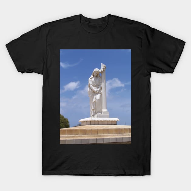 Virgin Mary Statue T-Shirt by aldersmith